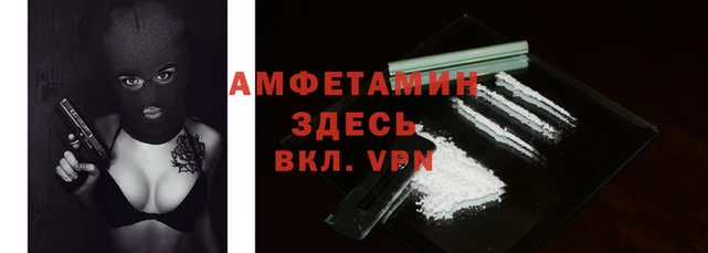 крисы Кодинск