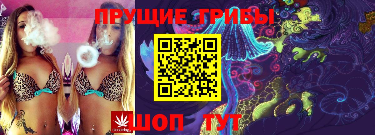 Новокузнецк  Галлюциногенные грибы ЛСД  Псилоцибиновые грибы Psilocybe  Вход с VPN 