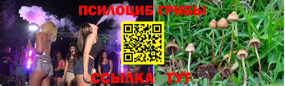 Галлюциногенные грибы мицелий Новокузнецк
